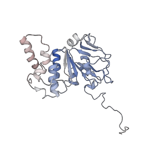 30528_7d0a_E_v1-1
Acinetobacter MlaFEDB complex in ADP-vanadate trapped Vclose conformation