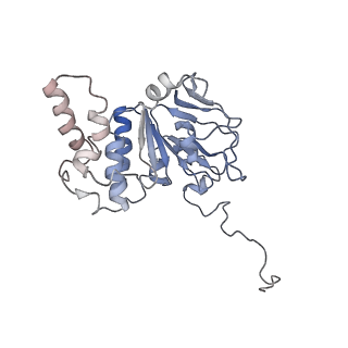 30528_7d0a_E_v1-2
Acinetobacter MlaFEDB complex in ADP-vanadate trapped Vclose conformation