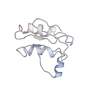 30528_7d0a_F_v1-1
Acinetobacter MlaFEDB complex in ADP-vanadate trapped Vclose conformation
