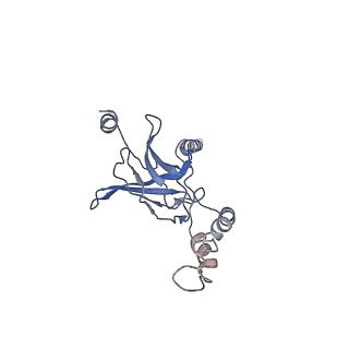 30528_7d0a_G_v1-1
Acinetobacter MlaFEDB complex in ADP-vanadate trapped Vclose conformation