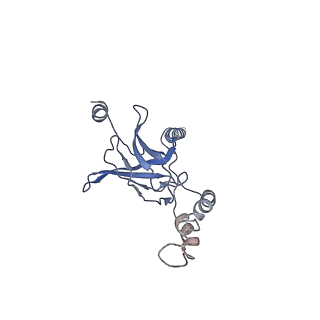 30528_7d0a_G_v1-2
Acinetobacter MlaFEDB complex in ADP-vanadate trapped Vclose conformation