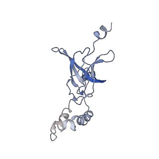 30528_7d0a_H_v1-1
Acinetobacter MlaFEDB complex in ADP-vanadate trapped Vclose conformation