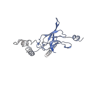 30528_7d0a_I_v1-1
Acinetobacter MlaFEDB complex in ADP-vanadate trapped Vclose conformation