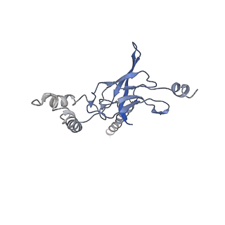 30528_7d0a_I_v1-2
Acinetobacter MlaFEDB complex in ADP-vanadate trapped Vclose conformation