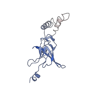 30528_7d0a_K_v1-1
Acinetobacter MlaFEDB complex in ADP-vanadate trapped Vclose conformation