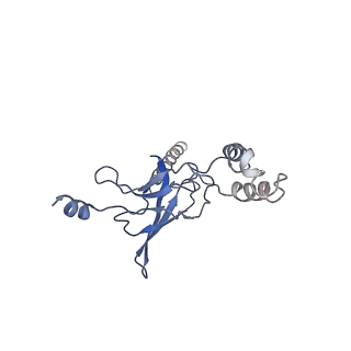 30528_7d0a_L_v1-1
Acinetobacter MlaFEDB complex in ADP-vanadate trapped Vclose conformation