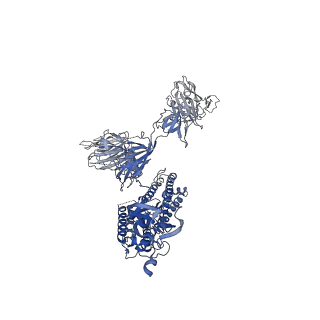 30529_7d0b_A_v1-2
S protein of SARS-CoV-2 in complex bound with P5A-3C12_1B
