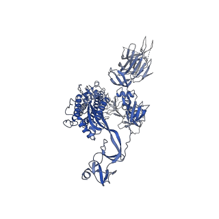 30529_7d0b_B_v1-2
S protein of SARS-CoV-2 in complex bound with P5A-3C12_1B