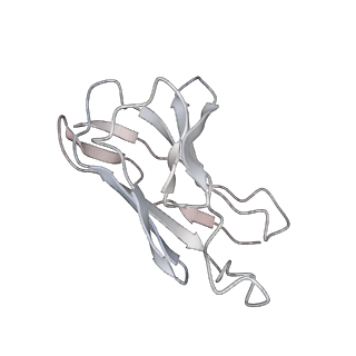 30529_7d0b_L_v1-2
S protein of SARS-CoV-2 in complex bound with P5A-3C12_1B