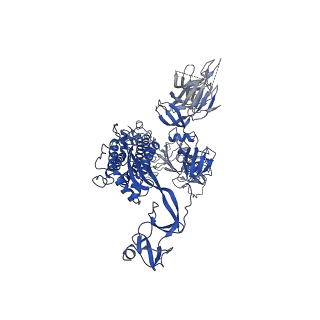 30530_7d0c_B_v1-2
S protein of SARS-CoV-2 in complex bound with P5A-3A1