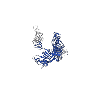 30530_7d0c_C_v1-2
S protein of SARS-CoV-2 in complex bound with P5A-3A1