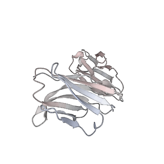 30530_7d0c_G_v1-2
S protein of SARS-CoV-2 in complex bound with P5A-3A1