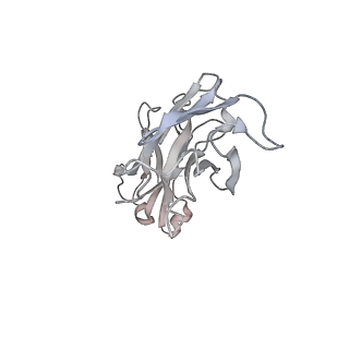 30530_7d0c_L_v1-2
S protein of SARS-CoV-2 in complex bound with P5A-3A1