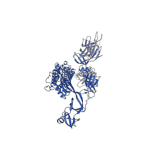 30531_7d0d_B_v1-2
S protein of SARS-CoV-2 in complex bound with P5A-3C12_2B