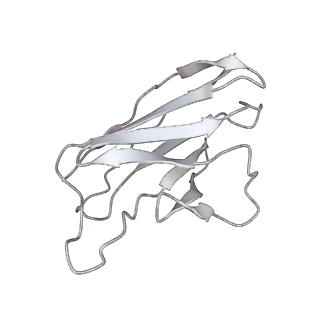 30531_7d0d_F_v1-2
S protein of SARS-CoV-2 in complex bound with P5A-3C12_2B