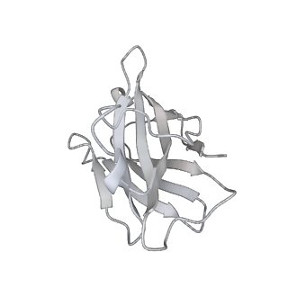 30531_7d0d_G_v1-2
S protein of SARS-CoV-2 in complex bound with P5A-3C12_2B