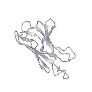 30531_7d0d_L_v1-2
S protein of SARS-CoV-2 in complex bound with P5A-3C12_2B