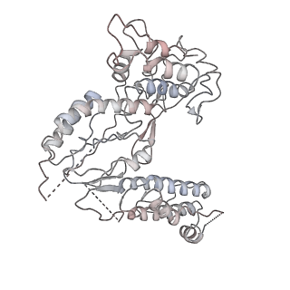 30532_7d0f_C_v1-2
cryo-EM structure of a pre-catalytic group II intron RNP