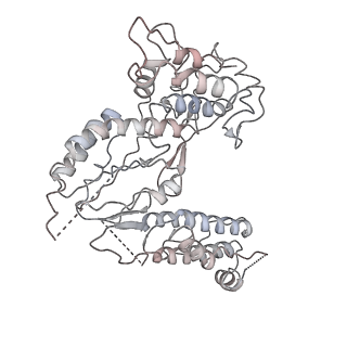 30532_7d0f_C_v1-3
cryo-EM structure of a pre-catalytic group II intron RNP