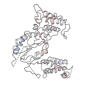 30533_7d0g_C_v1-3
Cryo-EM structure of a pre-catalytic group II intron