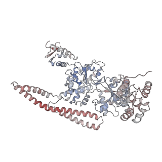 7782_6d00_1_v1-3
Calcarisporiella thermophila Hsp104