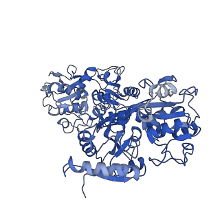 7783_6d03_C_v1-4
Cryo-EM structure of a Plasmodium vivax invasion complex essential for entry into human reticulocytes; one molecule of parasite ligand.