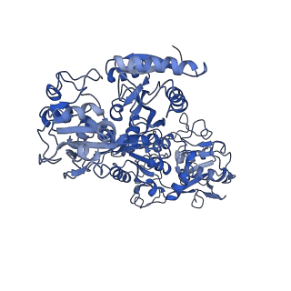 7783_6d03_D_v1-4
Cryo-EM structure of a Plasmodium vivax invasion complex essential for entry into human reticulocytes; one molecule of parasite ligand.