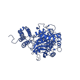 7784_6d04_A_v1-2
Cryo-EM structure of a Plasmodium vivax invasion complex essential for entry into human reticulocytes; two molecules of parasite ligand, subclass 1.