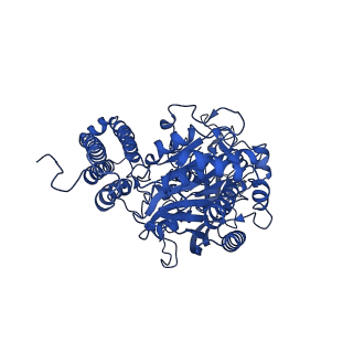 7784_6d04_A_v2-0
Cryo-EM structure of a Plasmodium vivax invasion complex essential for entry into human reticulocytes; two molecules of parasite ligand, subclass 1.