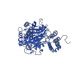 7784_6d04_B_v1-2
Cryo-EM structure of a Plasmodium vivax invasion complex essential for entry into human reticulocytes; two molecules of parasite ligand, subclass 1.