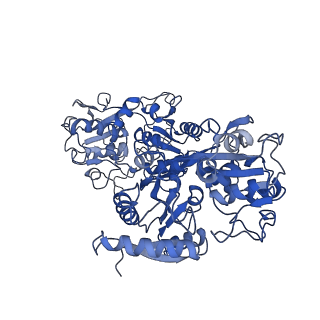 7784_6d04_C_v1-2
Cryo-EM structure of a Plasmodium vivax invasion complex essential for entry into human reticulocytes; two molecules of parasite ligand, subclass 1.