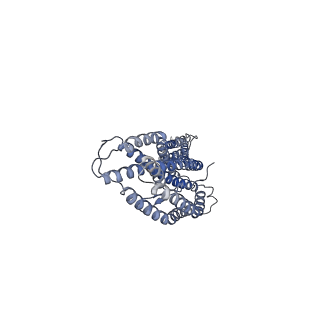 7784_6d04_E_v1-2
Cryo-EM structure of a Plasmodium vivax invasion complex essential for entry into human reticulocytes; two molecules of parasite ligand, subclass 1.