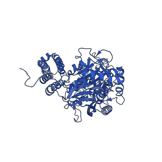 7785_6d05_A_v1-2
Cryo-EM structure of a Plasmodium vivax invasion complex essential for entry into human reticulocytes; two molecules of parasite ligand, subclass 2.