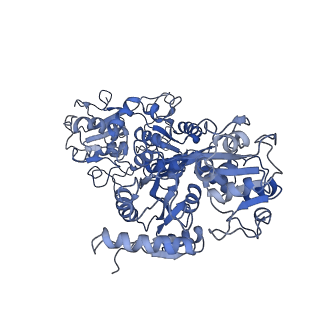 7785_6d05_C_v1-2
Cryo-EM structure of a Plasmodium vivax invasion complex essential for entry into human reticulocytes; two molecules of parasite ligand, subclass 2.