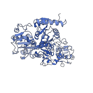 7785_6d05_D_v2-0
Cryo-EM structure of a Plasmodium vivax invasion complex essential for entry into human reticulocytes; two molecules of parasite ligand, subclass 2.