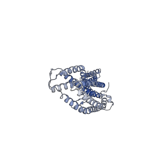 7785_6d05_E_v1-2
Cryo-EM structure of a Plasmodium vivax invasion complex essential for entry into human reticulocytes; two molecules of parasite ligand, subclass 2.