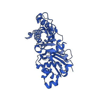 27115_8d14_A_v1-3
Helical ADP-Pi-F-actin