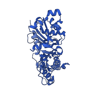 27115_8d14_B_v1-3
Helical ADP-Pi-F-actin