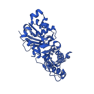 27115_8d14_C_v1-3
Helical ADP-Pi-F-actin