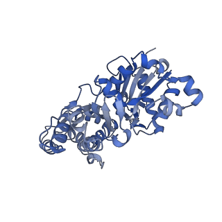 27116_8d15_A_v1-3
Bent ADP-F-actin