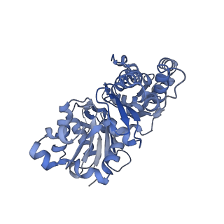 27116_8d15_B_v1-3
Bent ADP-F-actin