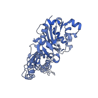 27116_8d15_C_v1-3
Bent ADP-F-actin