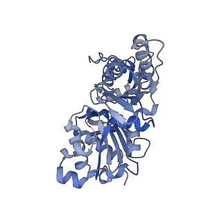 27116_8d15_D_v1-3
Bent ADP-F-actin