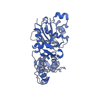 27116_8d15_E_v1-3
Bent ADP-F-actin