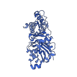 27116_8d15_F_v1-3
Bent ADP-F-actin