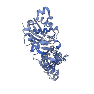 27116_8d15_G_v1-3
Bent ADP-F-actin
