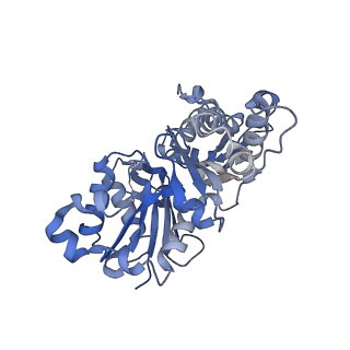 27117_8d16_B_v1-3
Bent ADP-Pi-F-actin