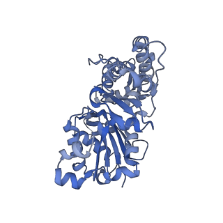27117_8d16_D_v1-3
Bent ADP-Pi-F-actin