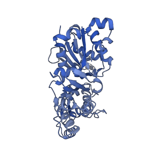 27117_8d16_E_v1-3
Bent ADP-Pi-F-actin