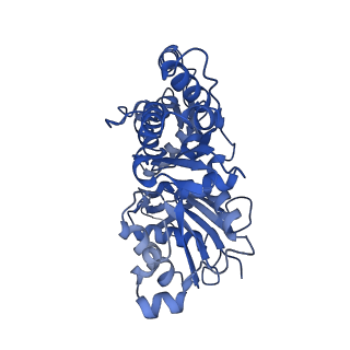 27117_8d16_F_v1-3
Bent ADP-Pi-F-actin